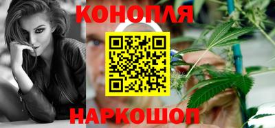 индика Донецк
