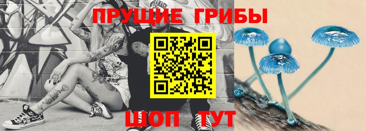 Псилоцибиновые грибы GOLDEN TEACHER  Вход с VPN  Дальнегорск  Галлюциногенные грибы GOLDEN TEACHER 